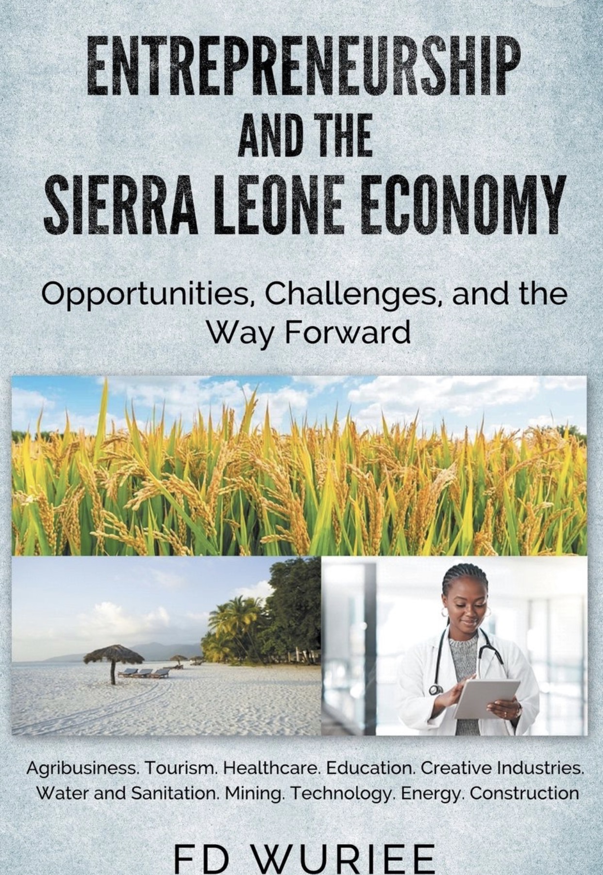 Cover of Entrepreneurship and the Sierra Leone Economy: Opportunities, Challenges, and the Way Forward by FD Wuriee
